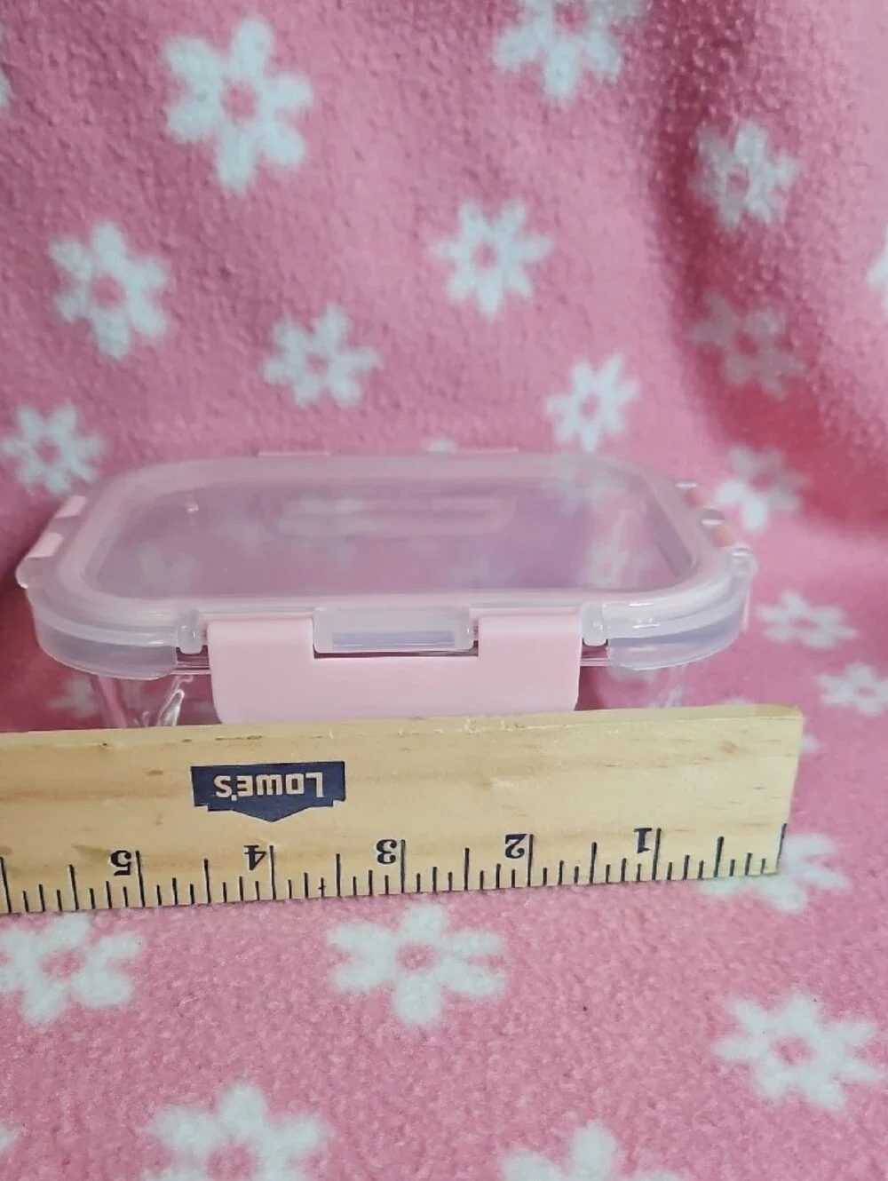 2 Large & 3 Small Clear Glass Food Storage Containers with Pink Lids - Set of 5